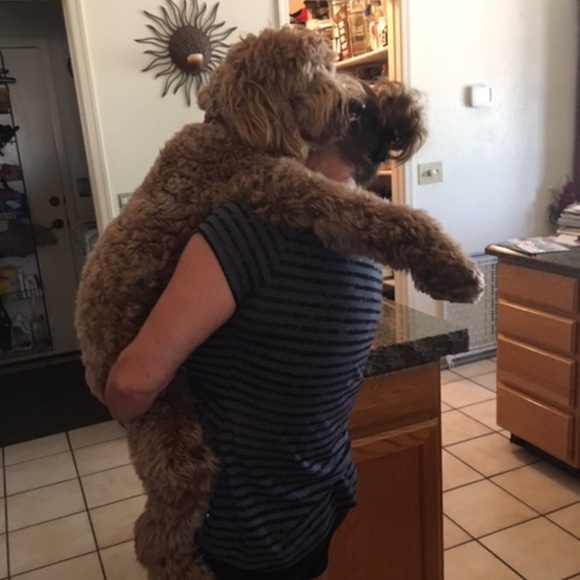 Meet your Posher, Terry - Picture 2 of 6